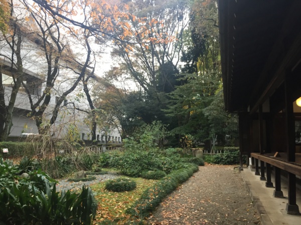 [Garden][Tokyo]