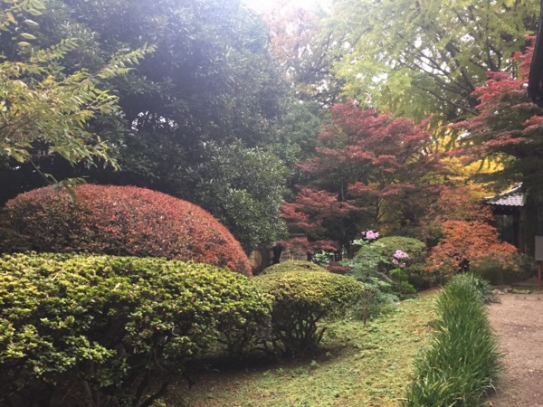 [Garden][Tokyo]