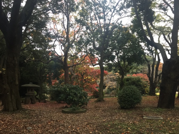 [Garden][Tokyo]