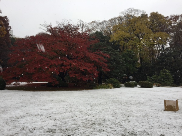 [Garden][Tokyo]