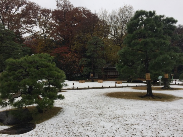 [Garden][Tokyo]