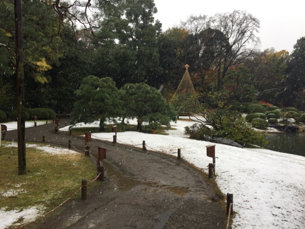 [Garden][Tokyo]