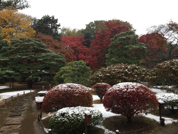 [Garden][Tokyo]