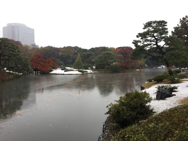 [Garden][Tokyo]