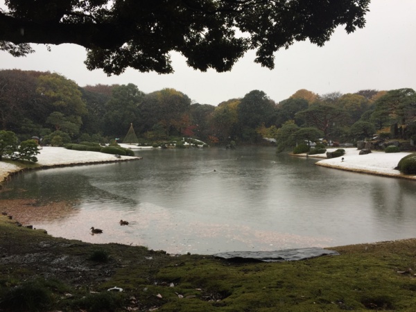 [Garden][Tokyo]