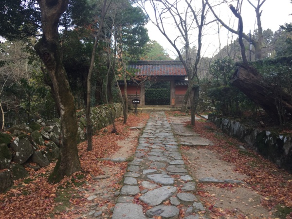 f:id:airgyan:20161212215248j:image