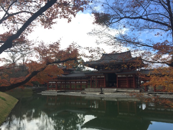 f:id:airgyan:20161212233747j:image f:id:airgyan:20161212233747j:image