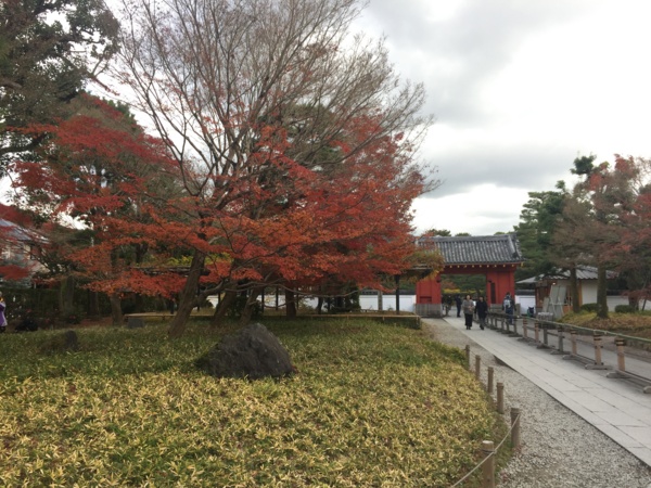 f:id:airgyan:20161212233800j:image f:id:airgyan:20161212233800j:image