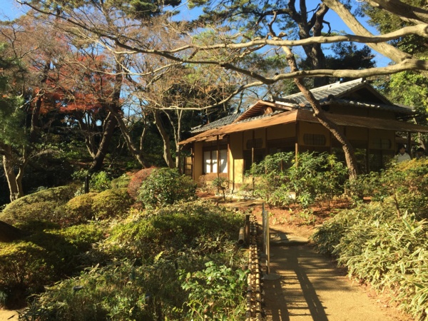 [Tokyo][Garden]