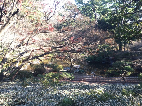 [Tokyo][Garden]