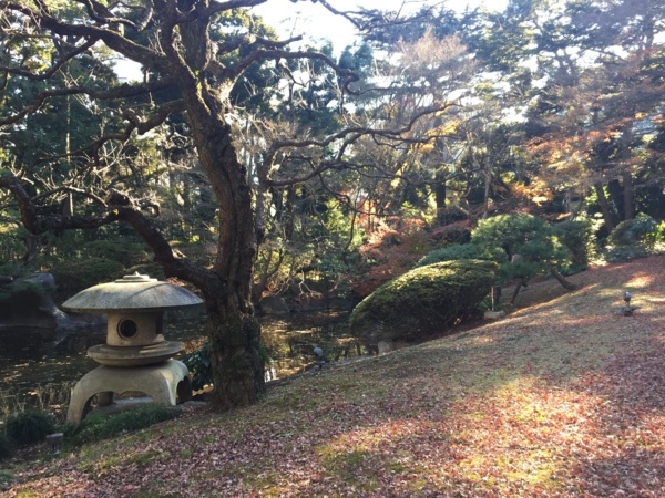 [Tokyo][Garden]