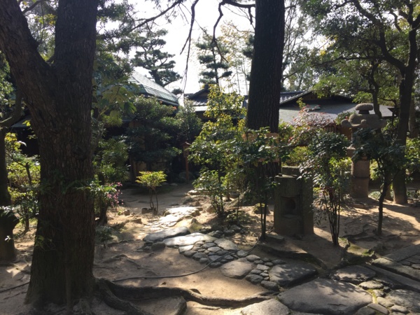 f:id:airgyan:20170227214849j:image f:id:airgyan:20170227214849j:image