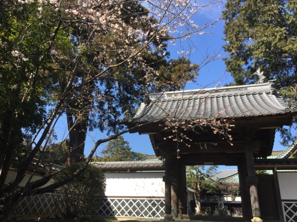 f:id:airgyan:20170306202044j:image f:id:airgyan:20170306202044j:image