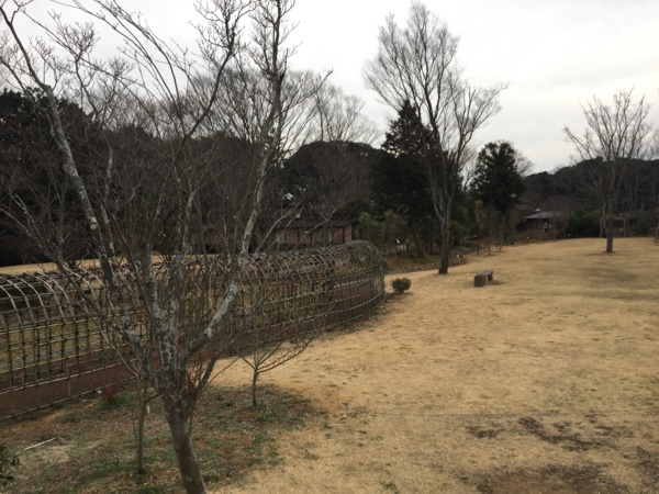 f:id:airgyan:20170306204024j:image f:id:airgyan:20170306204024j:image