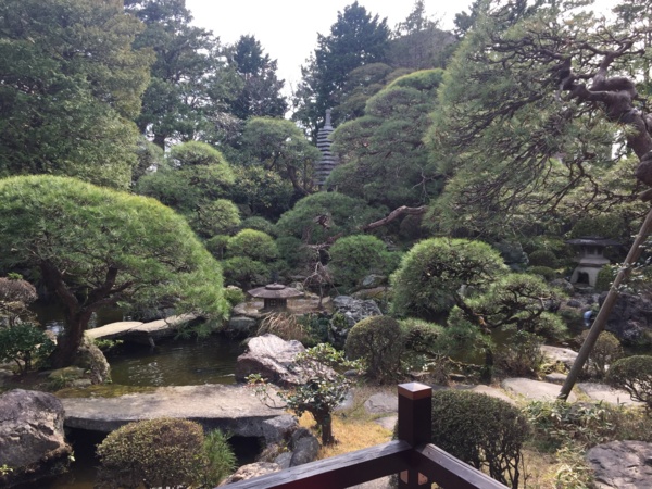 [Garden][Tokyo]