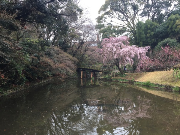 [浜松][Garden]