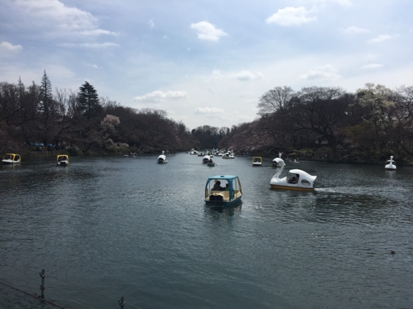 f:id:airgyan:20170404225313j:image