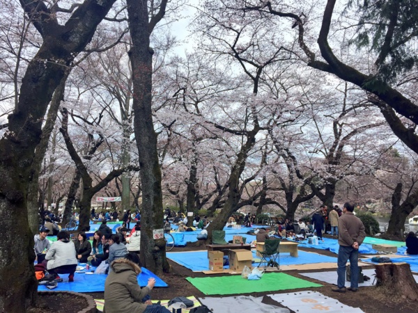 f:id:airgyan:20170404225314j:image