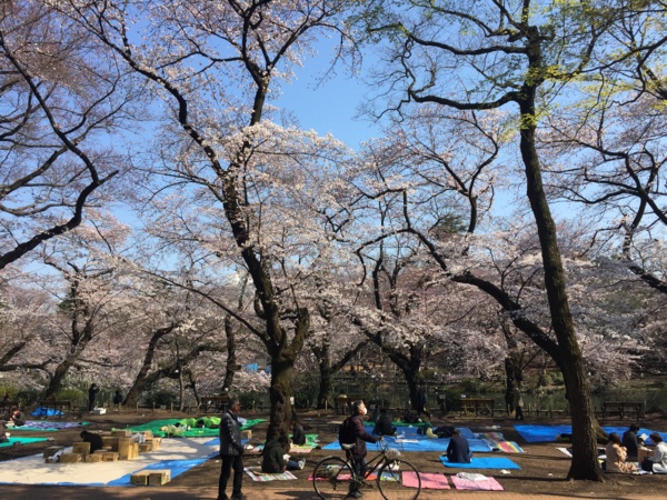 f:id:airgyan:20170404225319j:image