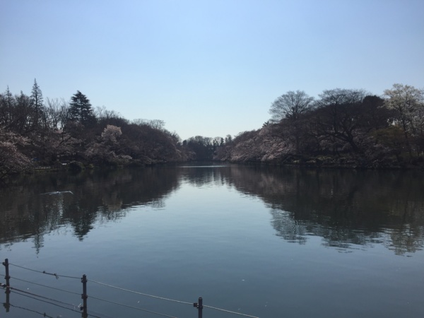 f:id:airgyan:20170404225320j:image