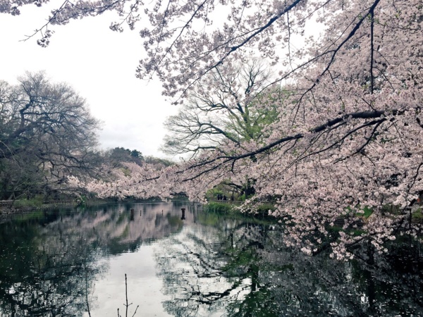 f:id:airgyan:20170411213030j:image