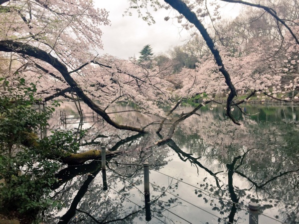 f:id:airgyan:20170411213031j:image