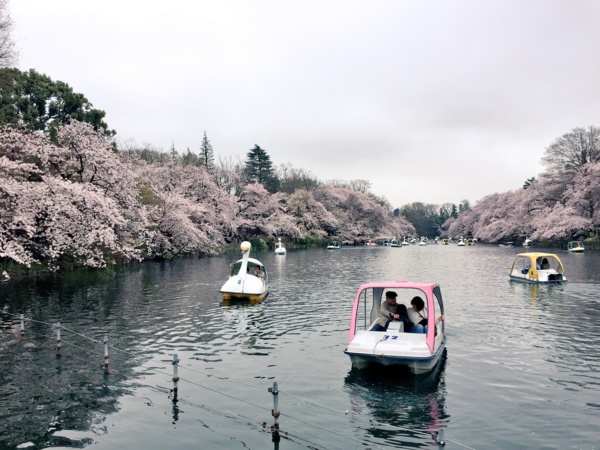 f:id:airgyan:20170411213034j:image