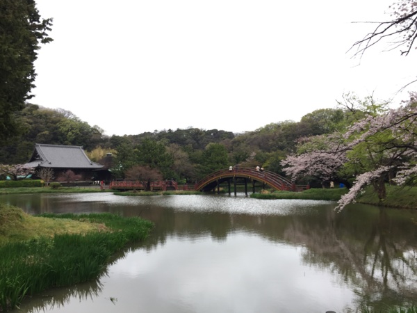 [桜][Garden]