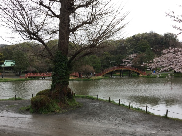 f:id:airgyan:20170411214608j:image f:id:airgyan:20170411214608j:image