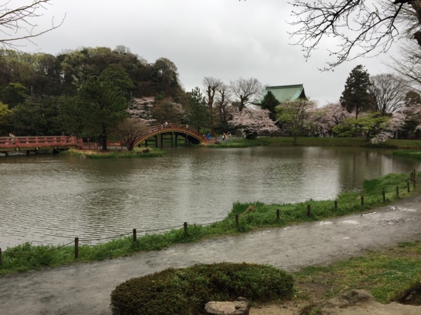 [桜][Garden]