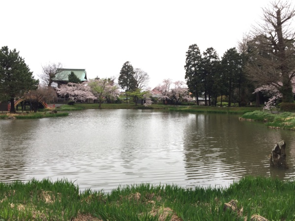 [桜][Garden]