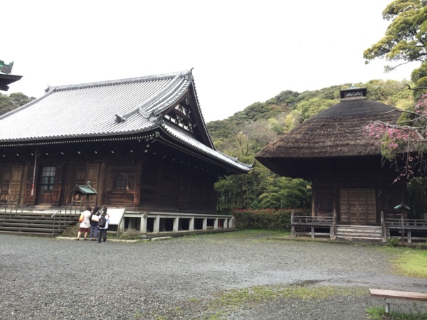 [桜][Garden]