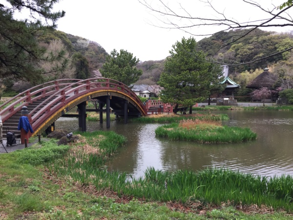 [桜][Garden]