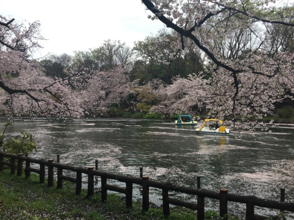 f:id:airgyan:20170411230047j:image