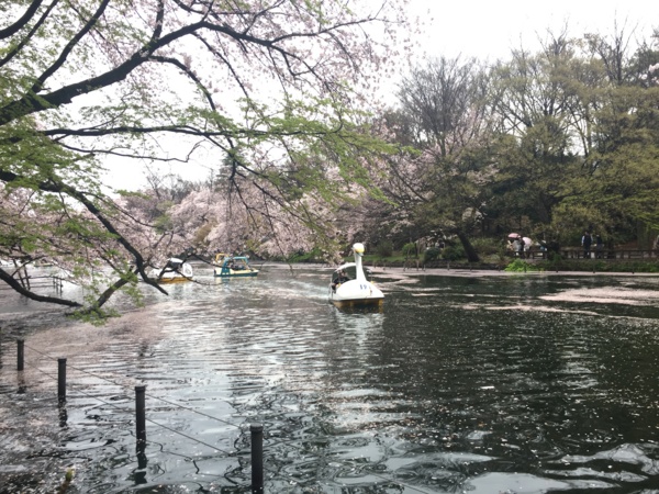 f:id:airgyan:20170411230049j:image