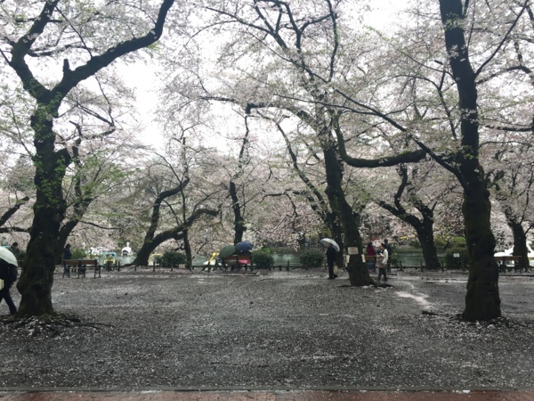 f:id:airgyan:20170411230051j:image