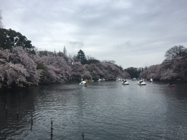 f:id:airgyan:20170411230053j:image