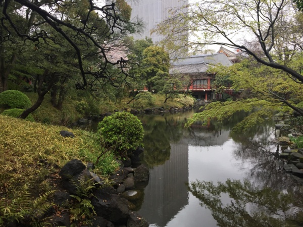 [桜][Garden]