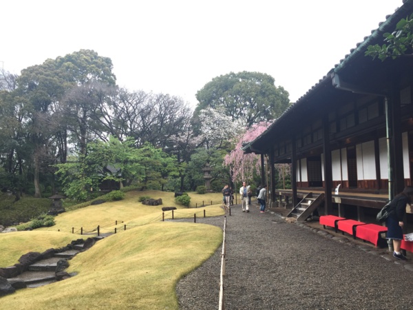 [桜][Garden]