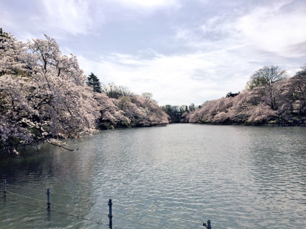 f:id:airgyan:20170414200614j:image