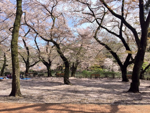 f:id:airgyan:20170414200615j:image