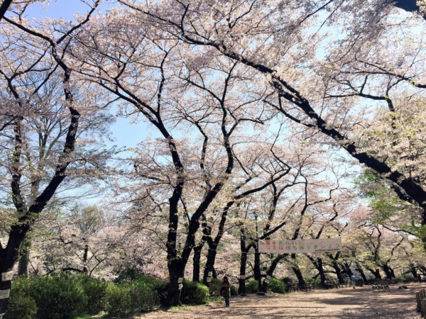 f:id:airgyan:20170414200616j:image