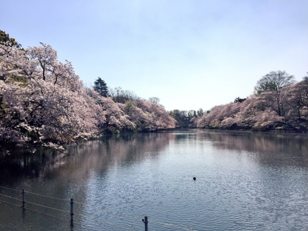 f:id:airgyan:20170414200617j:image