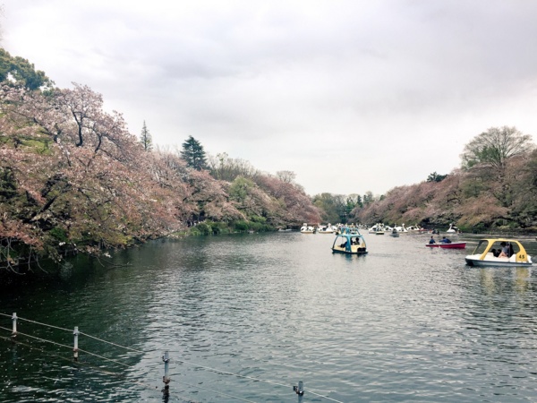 f:id:airgyan:20170417215306j:image