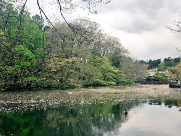 f:id:airgyan:20170417215308j:image