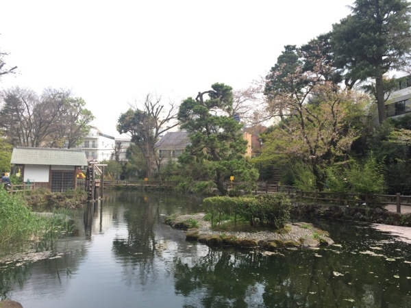 f:id:airgyan:20170417215313j:image