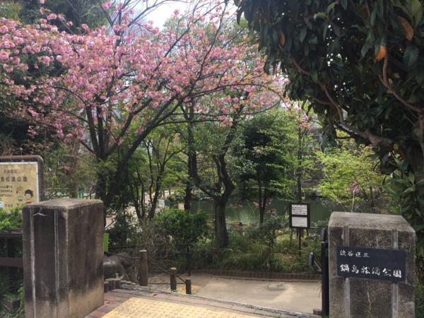 f:id:airgyan:20170417215314j:image