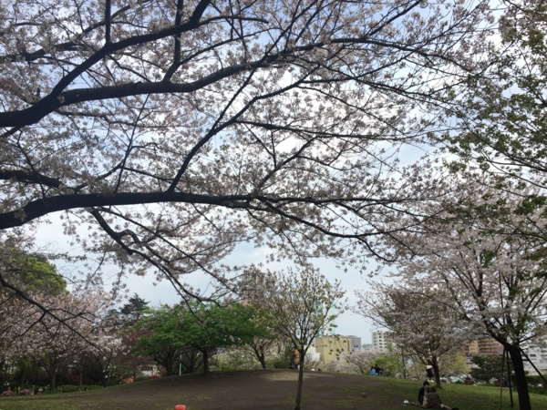 f:id:airgyan:20170417215320j:image