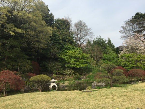 f:id:airgyan:20170417215329j:image