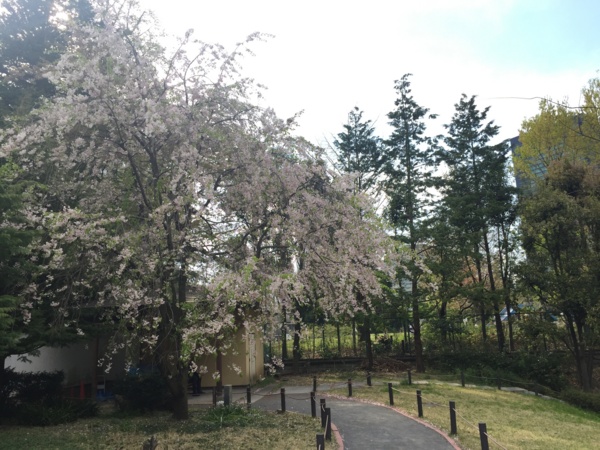 f:id:airgyan:20170417215331j:image